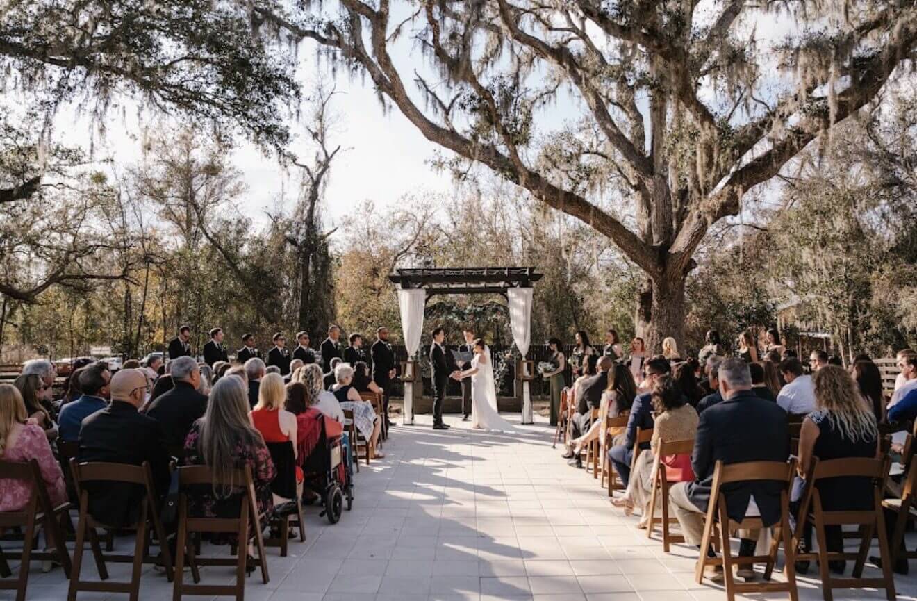 Outdoor wedding ceremony under large tree.
